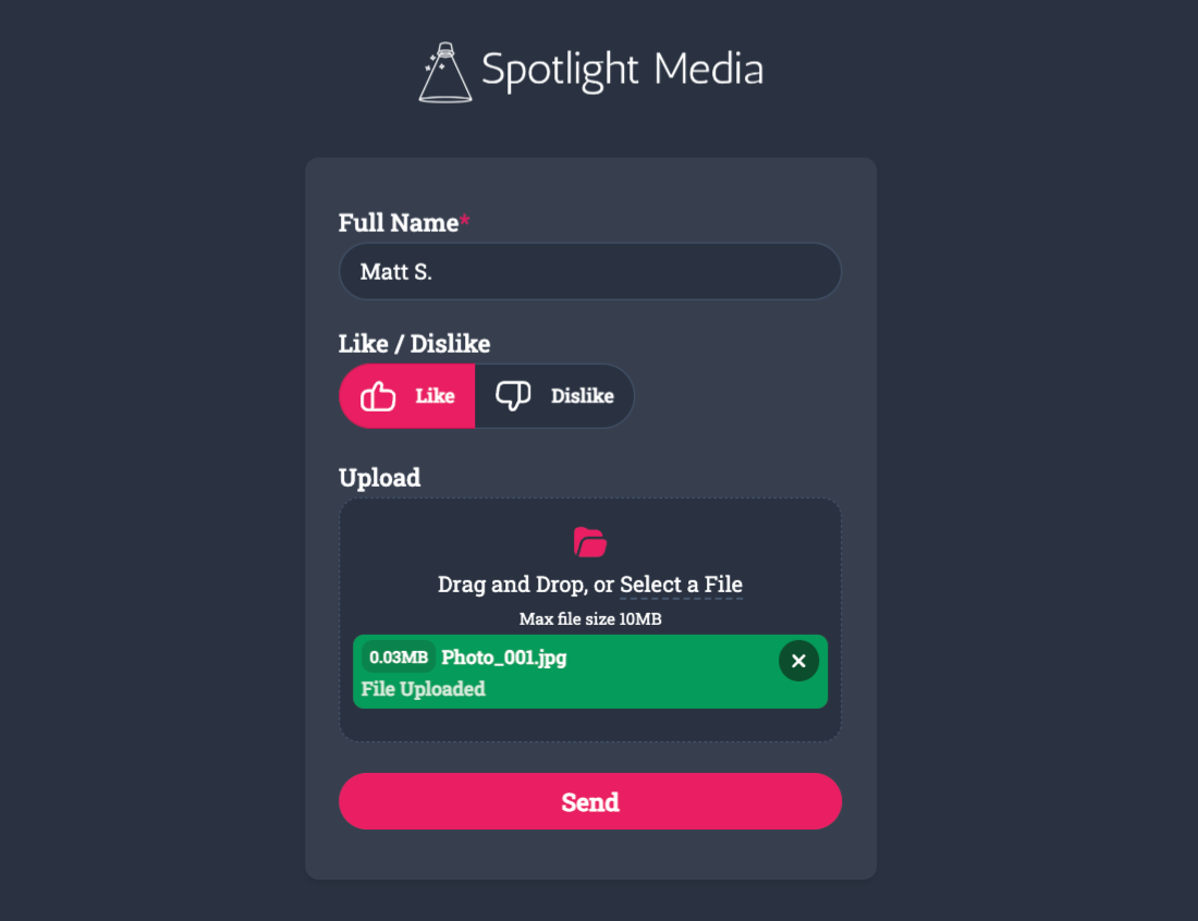 Viewing the custom logo sat above our example form