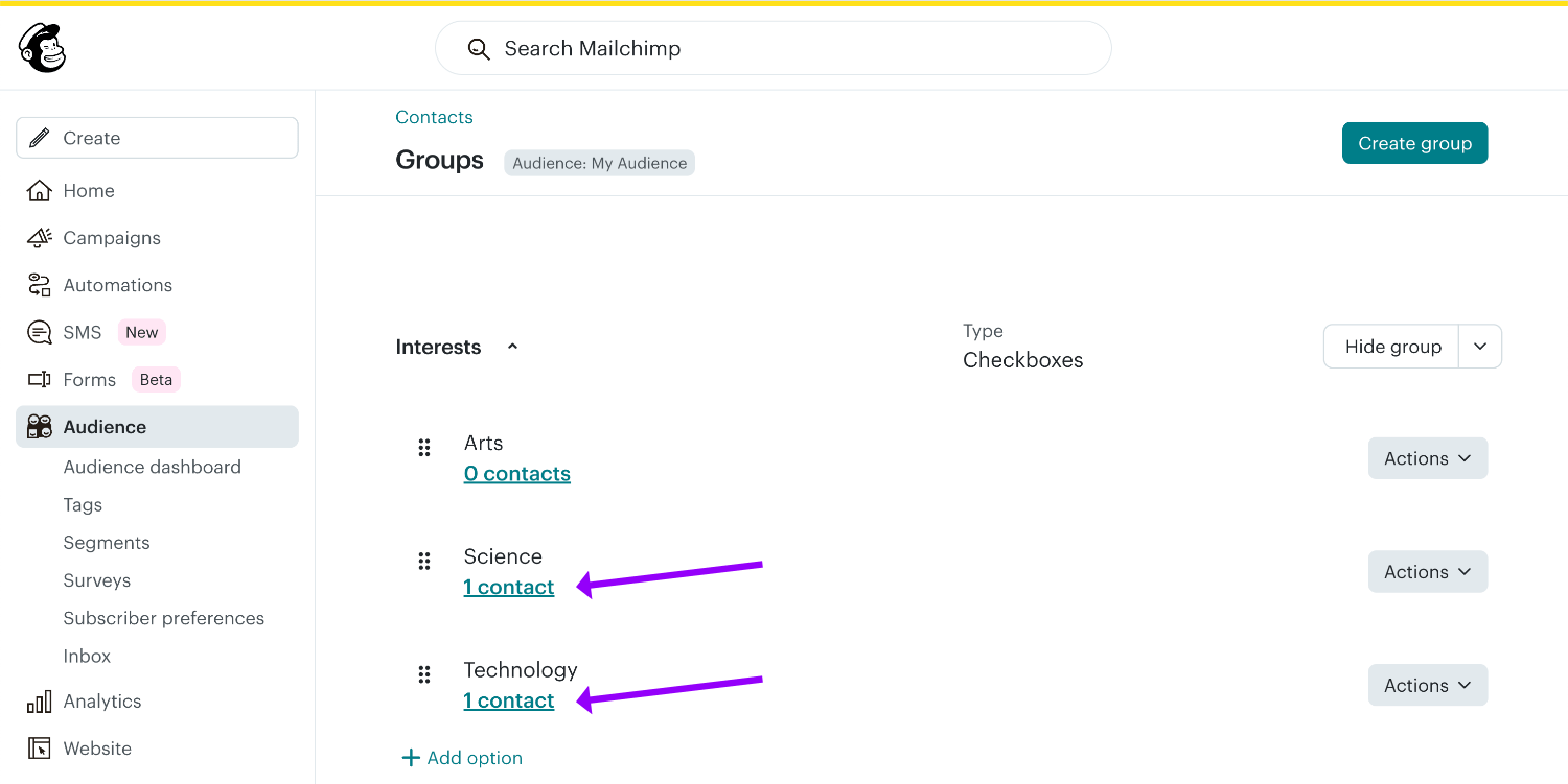 Viewing the Mailchimp subscriber added to both groups 'Science' and 'Technology'