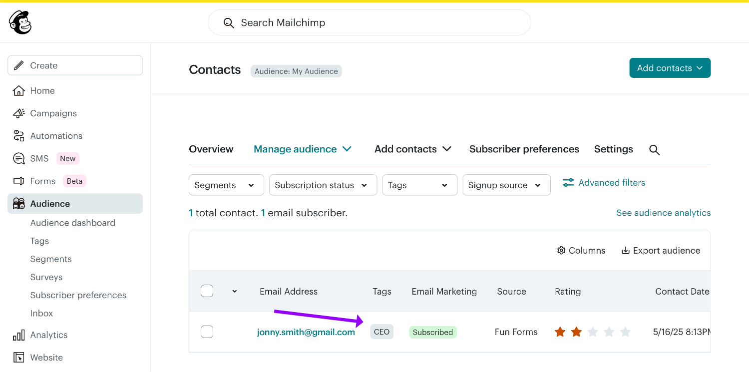 Viewing the Mailchimp subscriber added with new tags