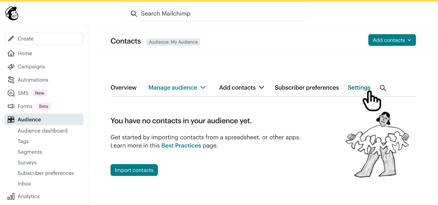 Clicking 'Settings' in the 'Audience' page in the Mailchimp app