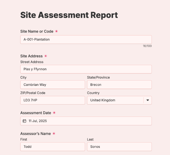 Site Environmental Assessment Form