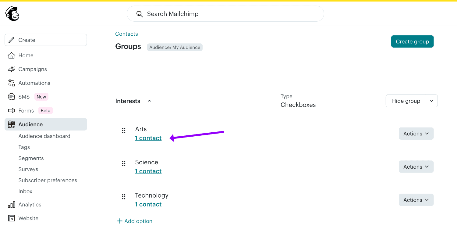 Viewing a new subscriber in the Arts group in Mailchimp