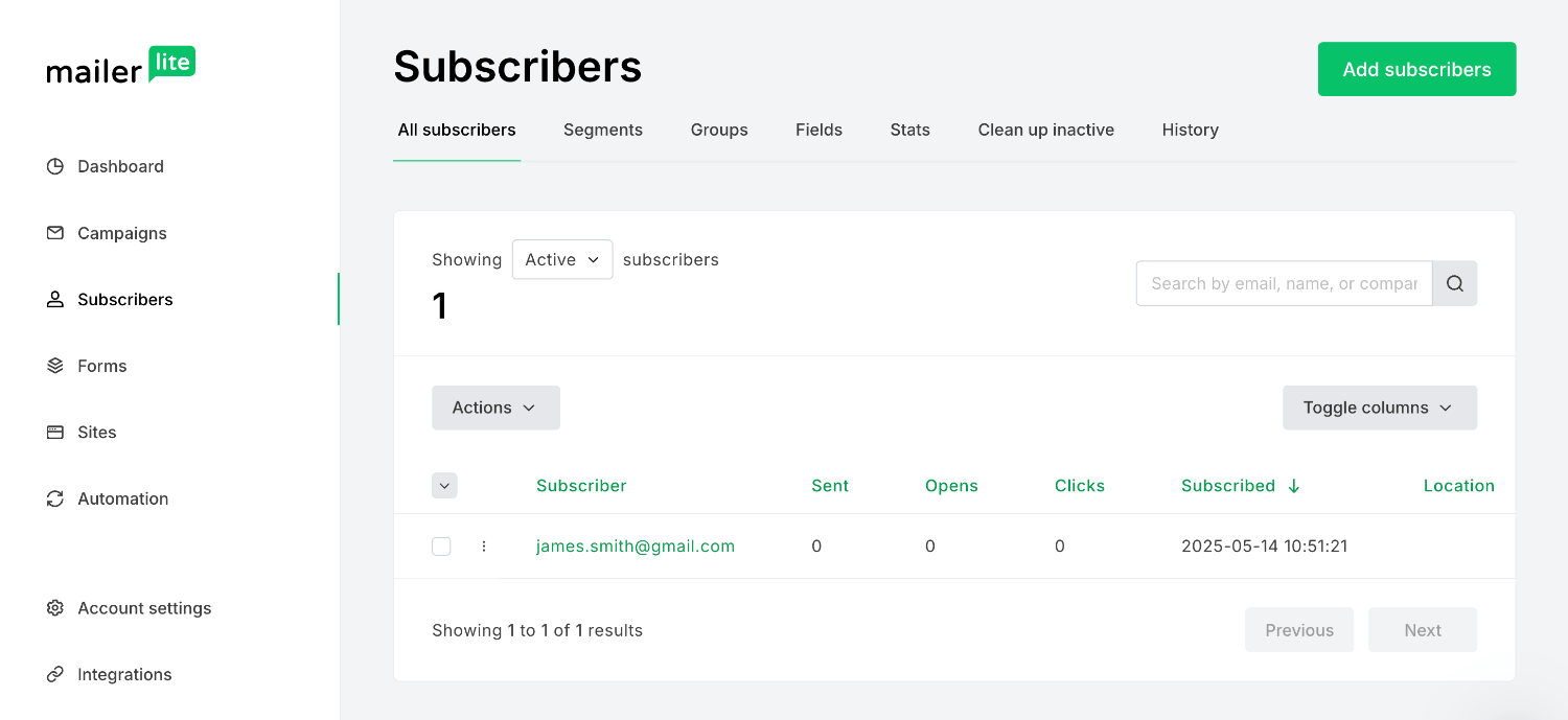 Viewing the newly created Mailerlite subscriber inside the Mailerlite app