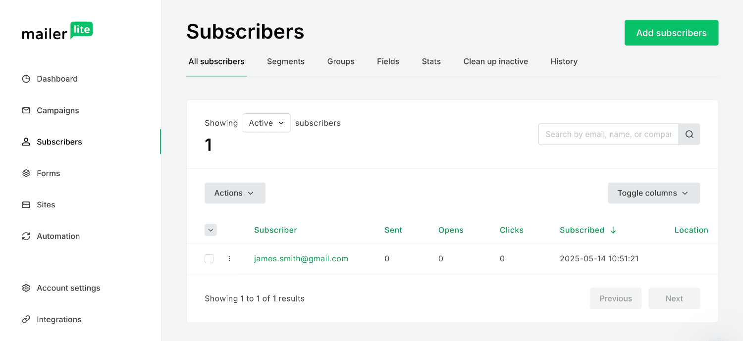 Viewing the newly created MailerLite subscriber