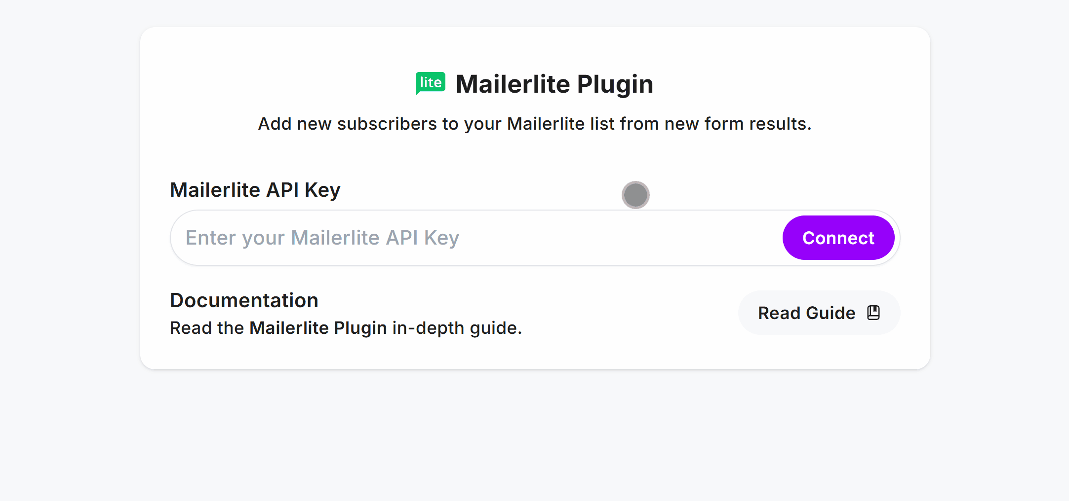 Pasting the Mailerlite Token inside the Mailerlite Plugin