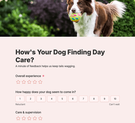 Doggy Day Care Feedback Form