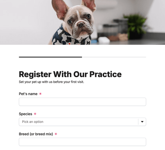 New Client & Pet Registration Form