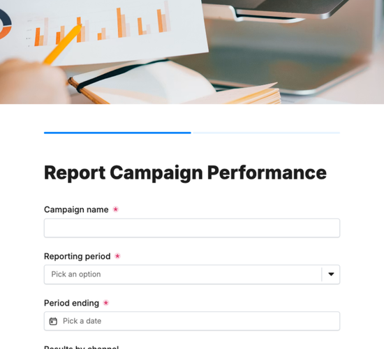 Campaign Performance Report Form
