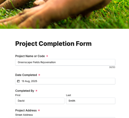 Project Completion Form