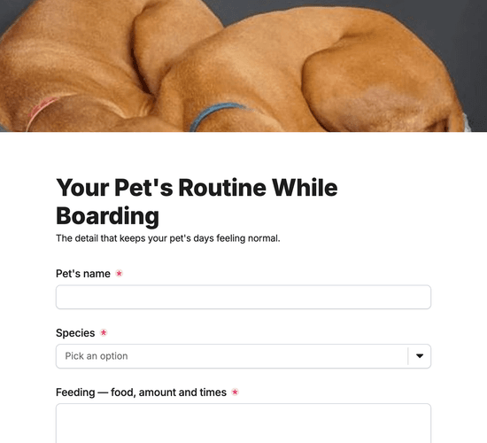 Feeding, Medication & Routine Instructions Form