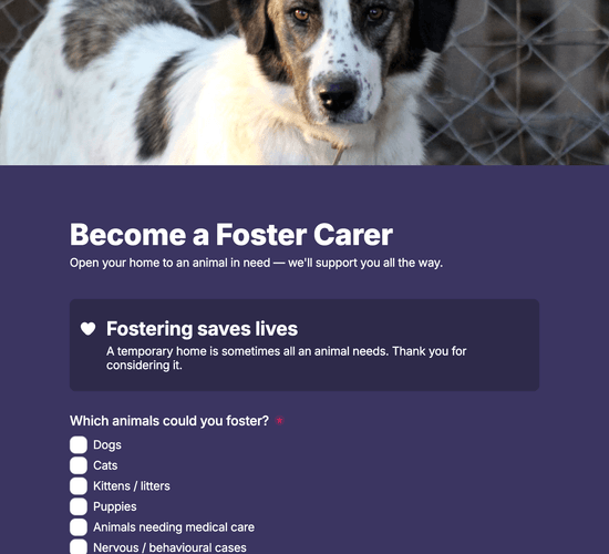 Foster Carer Application Form