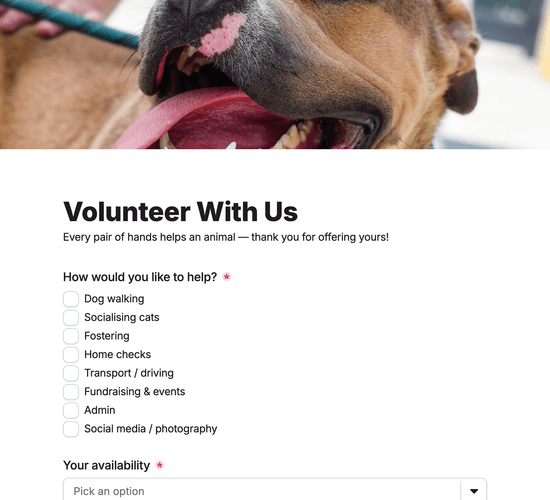 Volunteer Sign-Up Form