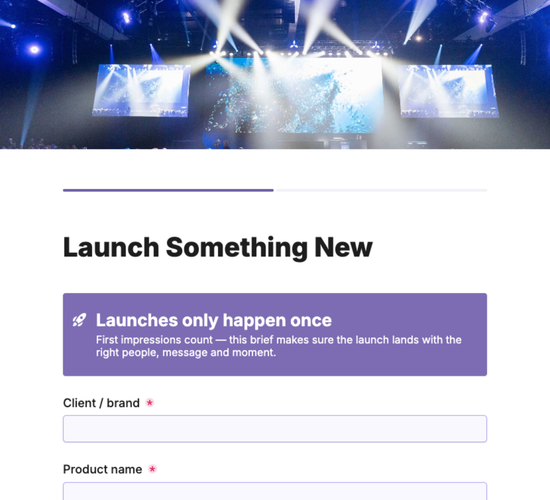 Product Launch Campaign Brief Form