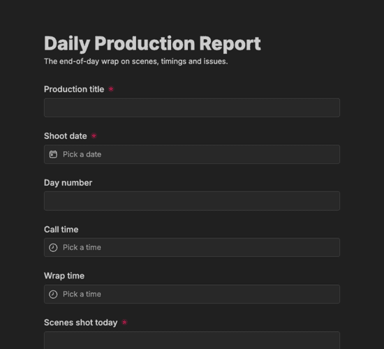 Daily Production Report Form