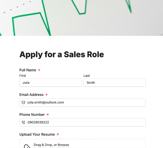 Sales Job Application Form