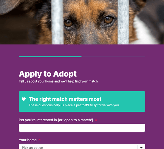 Pet Adoption Application Form