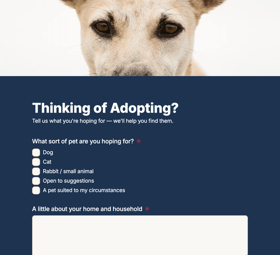 Adoption Enquiry Form