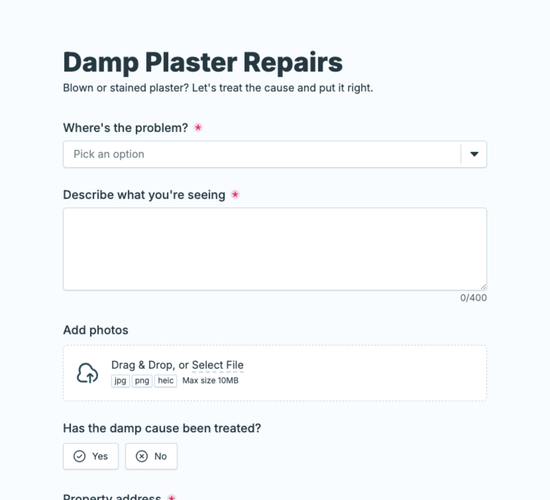 Damp Plaster Repair Inquiry Form