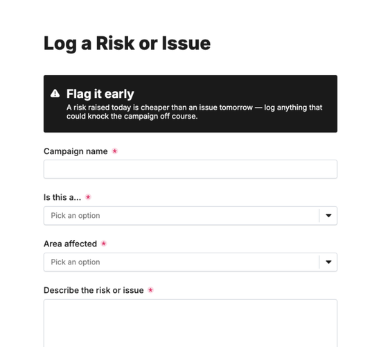 Campaign Risk & Issue Log Form