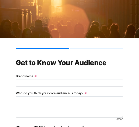 Audience & Persona Research Brief Form