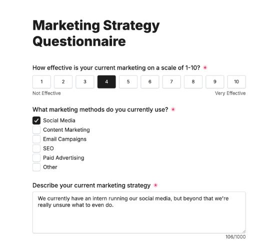 Marketing Strategy Questionnaire Form