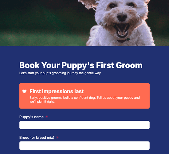 Puppy's First Groom Enquiry Form