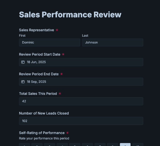 Sales Performance Review Form