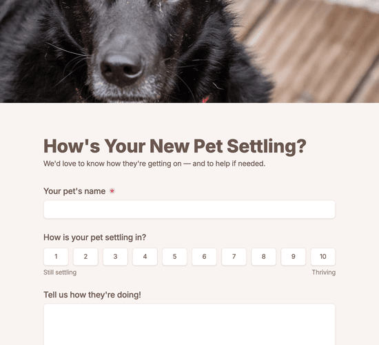 Post-Adoption Follow-Up & Feedback Form